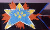 2000-2001 Class Flag
